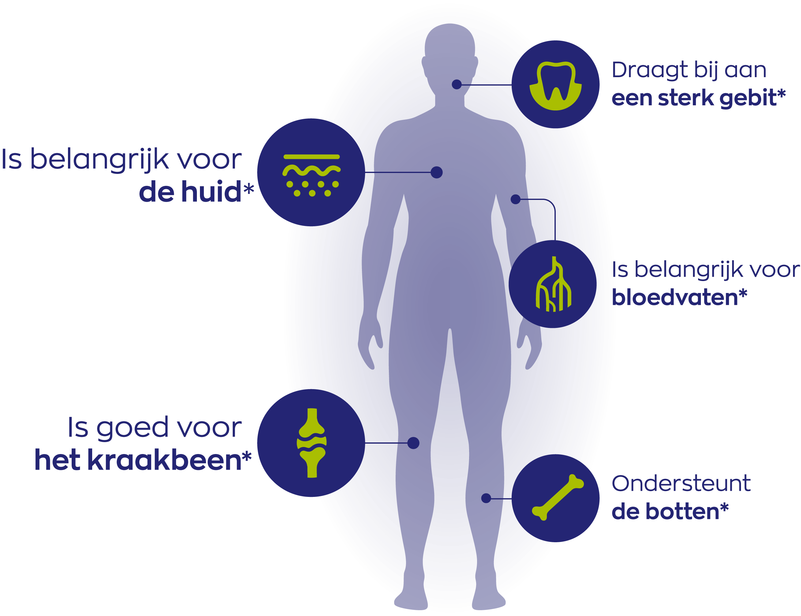 Infographic Collageen Solugel® poeder