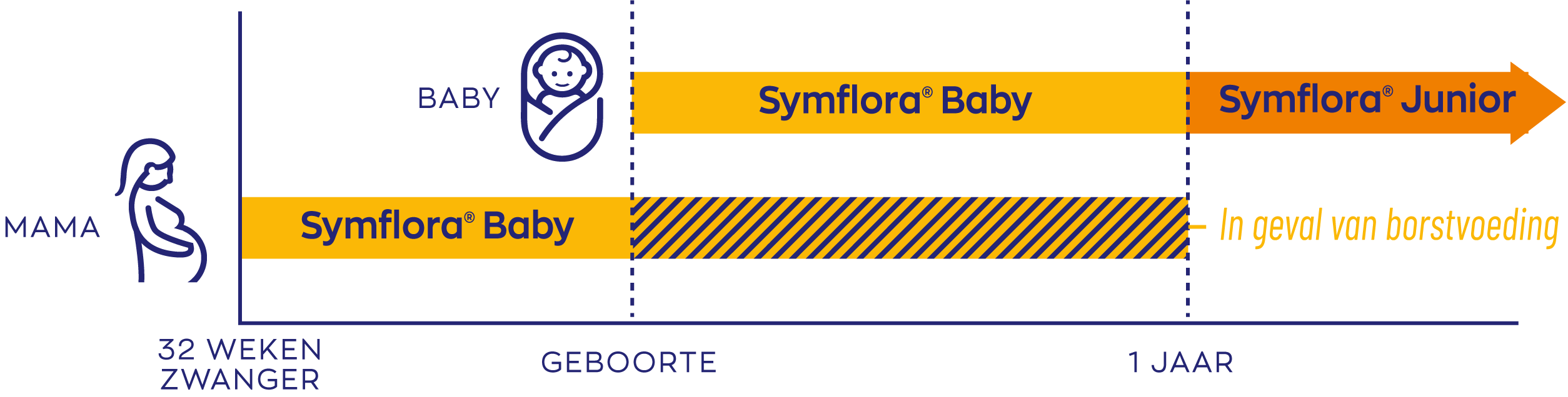 Symflora Baby grafiek